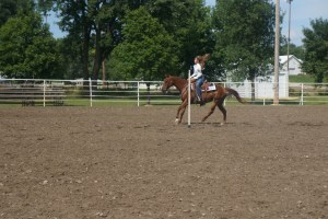 Hallie Paulson won awards at the horse show. Photo Credit, Denise Gilliland/Editor Kat Country Hub