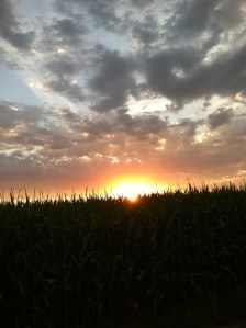 All photos are of the sunsetting at the Logan, behind a corn field. Photo Credit/Denise Gilliland, Editor and Chief, Kat Country Hub.