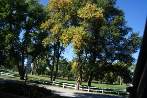 Trees beginning to change colors. Photo Credit/Denise Gilliland, Editor and Chief, Kat Country Hub.