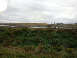 With all the rain, there is water standing in the sod fields by Bancroft. Photo Credit/Carol Polenske.