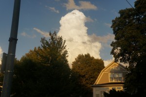 Photos around Oakland after storm, rain. Photo Credit/Denise Gilliland, Kat Country Hub.