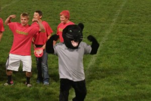 New Panther! Photo Credit/Denise Gilliland, Editor and Chief, Kat Country Hub.