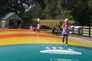 The kids love the jumping pillow! Photo Credit/Denise Gilliland, Editor and Chief, Kat Country Hub.
