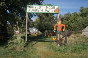 Entrance to fun! Photo Credit/Denise Gilliland, Editor and Chief, Kat Country Hub.