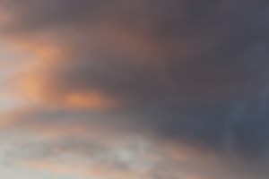 Sunset in Oakland. All were on the same night, different views. Photo Credit/Denise Gilliland, Editor and Chief, Kat Country Hub.