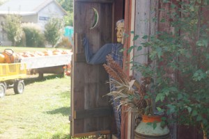 This scared me when I walked by at Harvest Moon Pumpkin Patch as the door opened and a lady (fake of course) came out. Photo Credit/Denise Gilliland, Editor and Chief, Kat Country Hub.