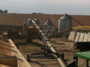 Grinding corn at Krusemark Farms, Pender. Photo Credit, Justin Beck.