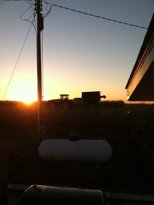 Harvest in full swing in Council Bluffs, IA. All pictures were taken by Angela Graham. 