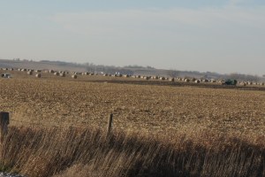 Hay being baled and harvest of corn, 2 miles north of Oakland. Photo Credit/Denise Gilliland, Editor and Chief, Kat Country Hub.