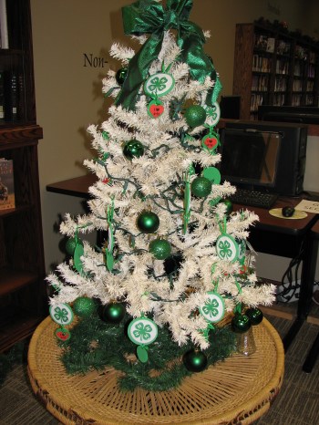 Logan Valley Clovers "4 H". Photo Credit/Kay Steinmeyer, Contributor to Kat Country Hub.