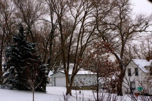 More pictures of snowfall in Nebraska. All photos credit of Denise Gilliland, Editor and Chief, Kat Country Hub.