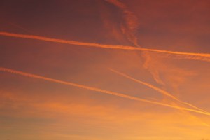 Gorgeous evening! Photo Credit/Denise Gilliland, Editor and Chief, Kat Country Hub.