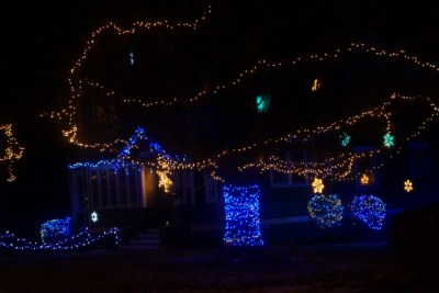 Photo Credit for both pictures/Denise Gilliland, Editor and Chief, Kat Country Hub.