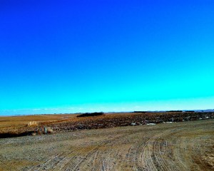 A nice drive in the country. All Photo Credit/Denise Gilliland, Editor and Chief, Kat Country Hub.