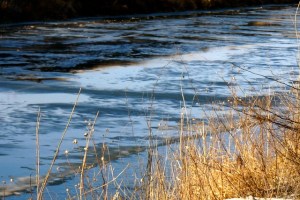 A beautiful January day to view Logan Creek. All pictures were taken by Denise Gilliland, Editor and Chief, Kat Country Hub.