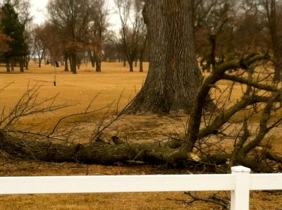 Photo Credit/Denise Gilliland, Editor and Chief, Kat Country Hub.