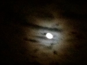 More beautiful days and nights in pictures. Photo Credit/Denise Gilliland, Editor and Chief, Kat Country Hub.