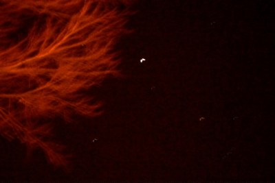 Photo Credit/Denise Gilliland, Editor and Chief, Kat Country Hub.