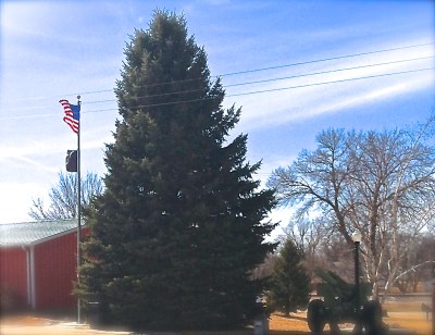 Veteran's Park in Oakland. Photo Credit/Denise Gilliland, Photo Credit, Kat Country Hub.