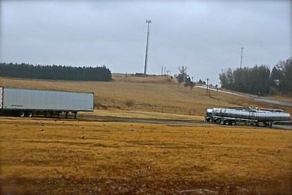 A rainy day brought out some hungry birds! Photo Credit/Denise Gilliland, Editor and Chief, Kat Country Hub.