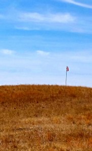 The American Flag in all of its glory! Photo Credit/Justin Beck.