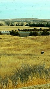 There is beauty to behold in Nebraska. Photo Credit/Justin Beck.