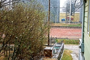 All Photo Credit/Denise Gilliland, Editor and Chief, Kat Country Hub.