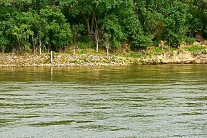 We visited Decatur over Memorial Day weekend and had to take pictures of the Missouri River. It is beautiful, but be cautious while boating, etc. It can be dangerous! All Photos Credit of/Denise Gilliland, Editor and Chief, Kat Country Hub. 
