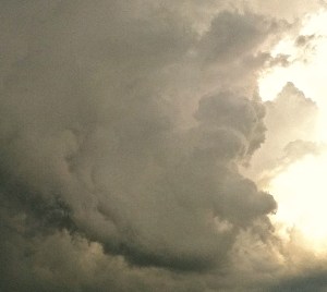 All Photos Credit of Denise Gilliland/Editor and Chief, Kat Country Hub.