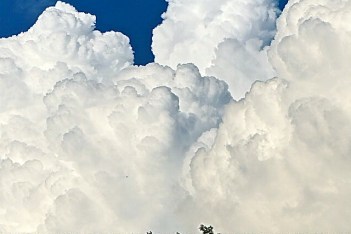 Photo Credit/Denise Gilliland, Editor and Chief, Kat Country Hub.