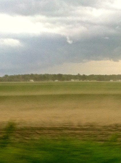 The dust blew across the highway into the fields south of Decatur just before the storm hit. Photo Credit/Denise Gilliland, Editor and Chief, Kat Country Hub.