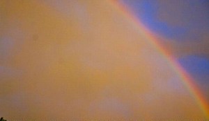 Beautiful rainbow after the storm left the area. All Photos Credit of Denise Gilliland, Editor and Chief, Kat Country Hub.