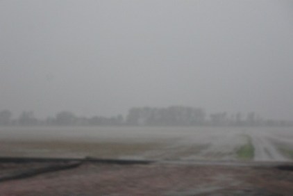 Rain pounded the area north of Uehling leaving water standing in this field. Photo Credit/Denise Gilliland, Editor and Chief, Kat Country Hub.