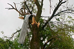 Part of some type of building ended up in this damaged tree by Jensen's in Craig, NE. Photo Credit/Denise Gilliland, Editor and Chief, Kat Country Hub.