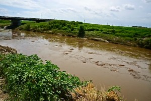 Logan Creek near Oakland is running high due to several rain storms in the area. It is also still full of debris. Photo Credit/Denise Gilliland, Editor and Chief, Kat Country Hub.