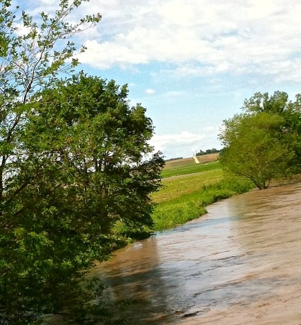 The Bell Creek by Craig is running high out of its banks from all of the rain we have had lately. Photo Credit/Denise Gilliland, Editor and Chief, Kat Country Hub.