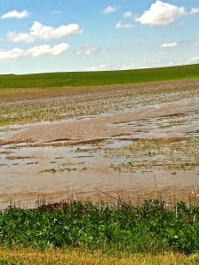 Bell Creek by Craig overflows into fields. Photo Credit/Denise Gilliland, Editor and Chief, Kat Country Hub.