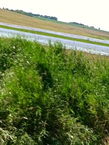 Bell Creek overflowed onto land and fields due to all of the rain the area has experienced. Photo Credit/Denise Gilliland, Editor and Chief, Kat Country Hub.