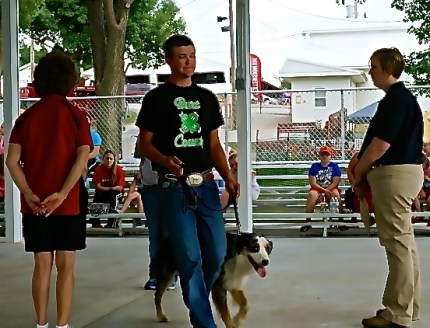 Josh King takes his dog through the obedience portion of the dog show. Photo Credit/Denise Gilliland, Editor and Chief, Kat Country Hub.
