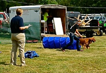 Megan Olson's dog goes through the course with enthusiasm! Photo Credit/Denise Gilliland, Editor and Chief, Kat Country Hub.