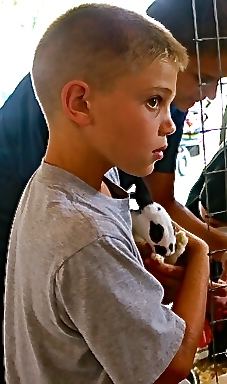 Baby rabbits are a huge attraction in the open class building at the fair. All photos credit of Denise Gilliland, Editor and Chief, Kat Country Hub.