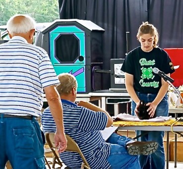 Amelia Schlichtung shows her rabbit to the judge, answering questions too. Both Photos, credit of Denise Gilliland, Editor and Chief, Kat Country Hub.