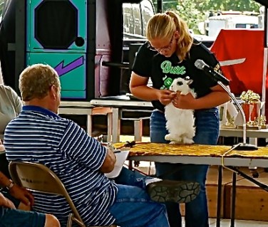 Casey Stone shows her rabbit to the judge, and answers his questions. Photos credit of Denise Gilliland, Editor and Chief, Kat Country Hub. 