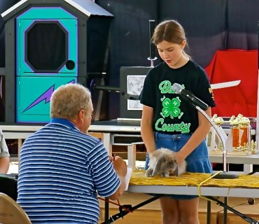Trinity Seery shows her rabbit during the show at the fair. Photo Credit/Denise Gilliland, Editor and Chief, Kat Country Hub. 