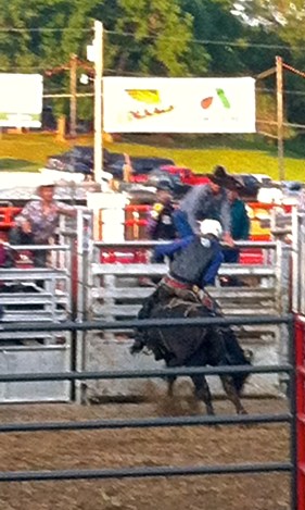 The bull riders demonstrated their talents at the Burt County Fair. All photo credit/Denise Gilliland, Editor and Chief, Kat Country Hub.