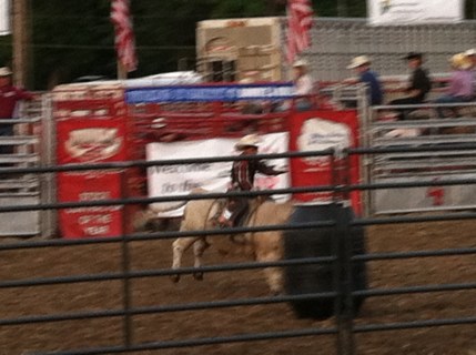 Great bull riders put on a show for those in attendance. All photos credit of Denise Gilliland, Editor and Chief, Kat Country Hub.