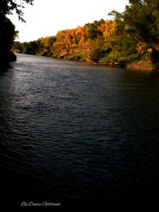 While enjoying a wonderful afternoon of fishing with my husband so near the Logan Creek, I stepped in it, I took pictures of the fall colors blooming all around us. What an enthralling sight to behold! Photo Credit of both photos, Denise Gilliland, Editor and Chief, Kat Country Hub.