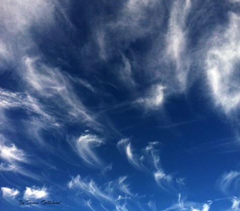 This beautiful day reminded me of another beautiful day while I was walking in the park. The clouds were so pretty, I just had to share them with everyone. Both photos credit of Denise Gilliland, Editor and Chief, Kat Country Hub.