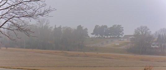 It was a very foggy morning, but it was beginning to lift, and the temperature is on the rise! Photo Credit/Denise Gilliland, Editor and Chief, Kat Country Hub.