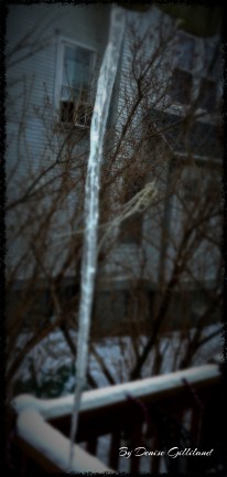 It is colder than cold today! Looks like this icicle will be around a bit longer! Photo credit/Denise Gilliland, Editor and Chief, Kat Country Hub.